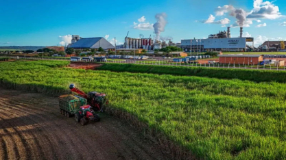 Do campo ao tanque: conheça a cadeia produtiva do etanol