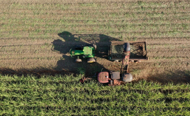 Safra de cana-de-açúcar 2026/2027 em Minas Gerais começa com perfil mais alcooleiro