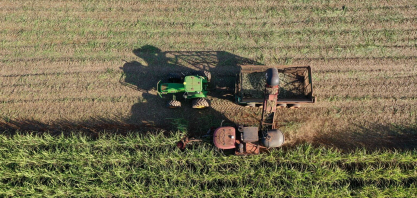 Safra de cana-de-açúcar 2026/2027 em Minas Gerais começa com perfil mais alcooleiro