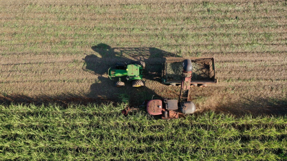 Safra de cana-de-açúcar 2026/2027 em Minas Gerais começa com perfil mais alcooleiro