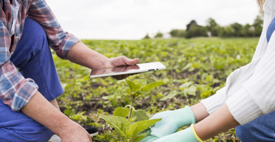 Imagem: reprodução