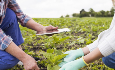 Sustentabilidade avança e passa a influenciar crédito, mercado e custos do setor