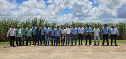 Tecnologia agrícola: Usina Caeté participa de encontro sobre melhoramento genético da cana-de-açúcar