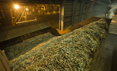 É melhor ter uma usina menor e com gestão eficiente, do que ter uma usina grande ineficiente