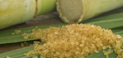 Previsão de superávit na produção de açúcar derruba preços em Nova York