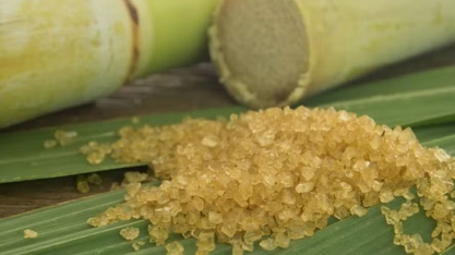 Previsão de superávit na produção de açúcar derruba preços em Nova York