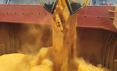 Inpasa embarca 45 mil t de DDGS à Turquia e amplia exportações