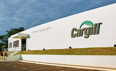Cargill abre inscrições para programa de estágio