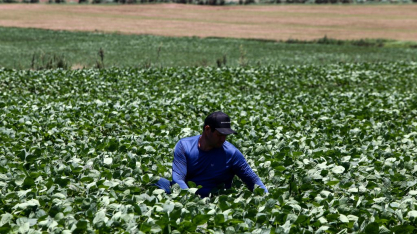 SP envia à Alesp projeto para reforçar fundo do agronegócio