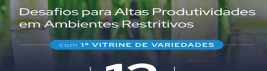 7º Encontro Técnico do Grupo Santa Clara reúne IAC, CTC e Ridesa para debater a alta produtividade da cana-de-açúcar em ambientes restritivos