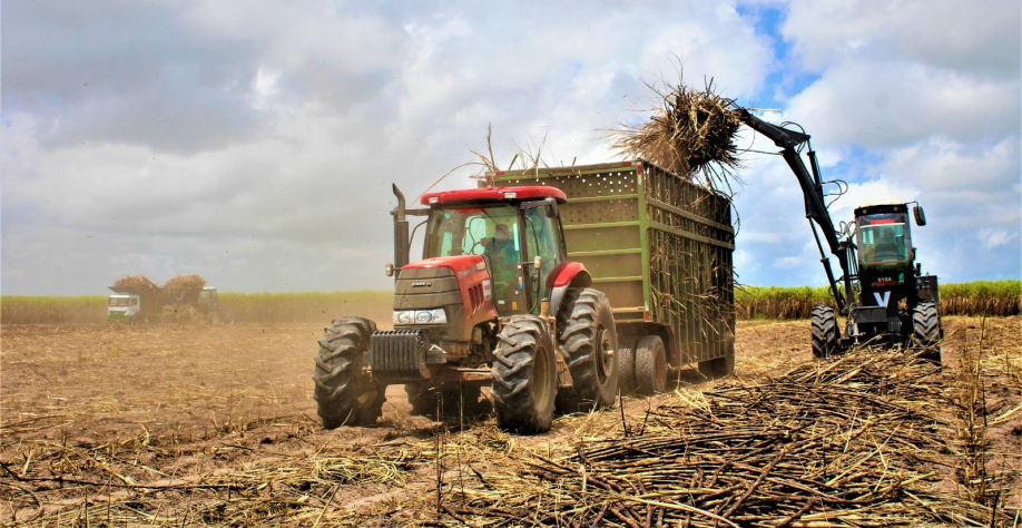 Variação foi registrada em abril, último mês de moagem da safra 25/26 - Foto: Assessoria