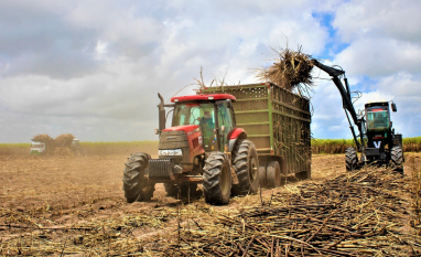 Consecana-AL/SE: preço do ATR tem aumento de 6,6% em abril, último mês de moagem