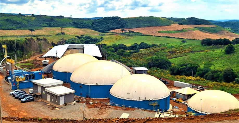 Imagem: reprodução/internet