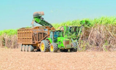 Produção de etanol cresce 16,8% na safra 2025/2026 em Alagoas