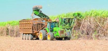 Produção de etanol cresce 16,8% na safra 2025/2026 em Alagoas