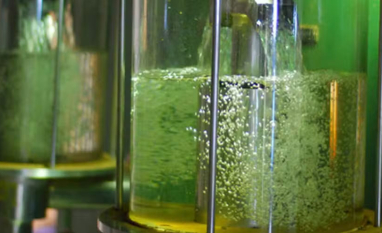 Produção de etanol deve atingir novo recorde na safra 2026/27