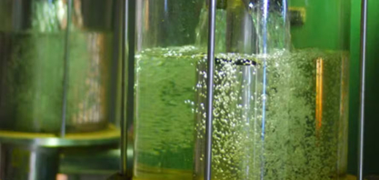 Produção de etanol deve atingir novo recorde na safra 2026/27