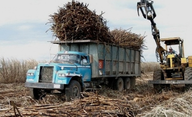 México deve ampliar produção de açúcar em 2026/27, apesar de desafios com insumos, aponta USDA