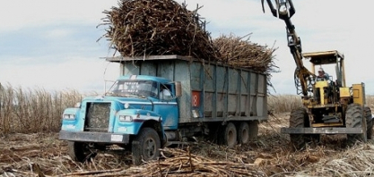México deve ampliar produção de açúcar em 2026/27, apesar de desafios com insumos, aponta USDA
