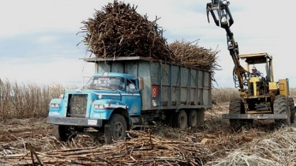México deve ampliar produção de açúcar em 2026/27, apesar de desafios com insumos, aponta USDA