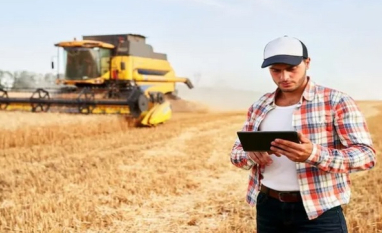 Pressão de oferta reduz preços ao produtor em quase 10% e aperta margens no campo