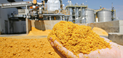 Agricultura/MRE: Chile abre mercado para DDG/DDGS do Brasil