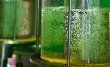 UE avalia ampliar mistura de etanol na gasolina para até 20%