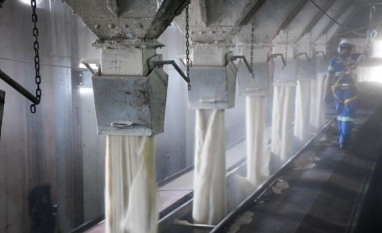 Importações de açúcar da China disparam em 2026 e impulsionam mercado global de commodities