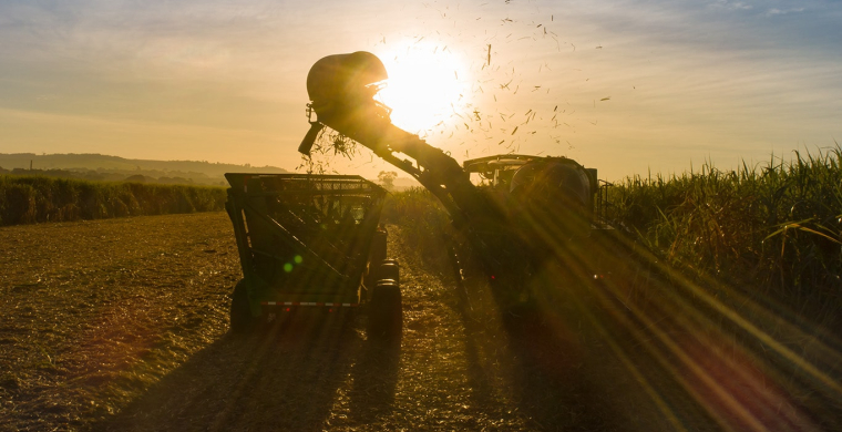 Colhedora de cana John Deere CH 7 tem menor consumo de combustível e melhoria na limpeza da cana
