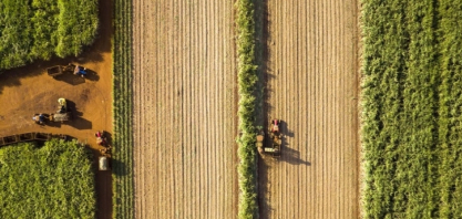 Lançamento da BASF, Prowl® H2O é um herbicida seletivo que diminui a emergência de daninhas