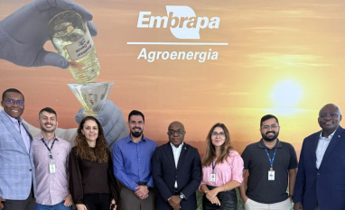 Angola busca parceria com Embrapa para avançar em SAF