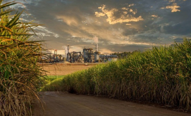 Brasil deve bater recorde na produção de etanol em 2026/27, projeta DATAGRO