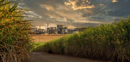 Brasil deve bater recorde na produção de etanol em 2026/27, projeta DATAGRO