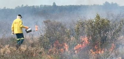 SP amplia manejo do fogo para reduzir risco de incêndios