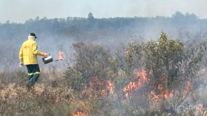 SP amplia manejo do fogo para reduzir risco de incêndios