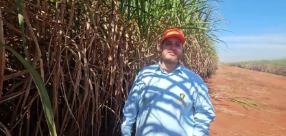 São Jorge Agronegócio reforça manejo para conter plantas daninhas e pragas no canavial