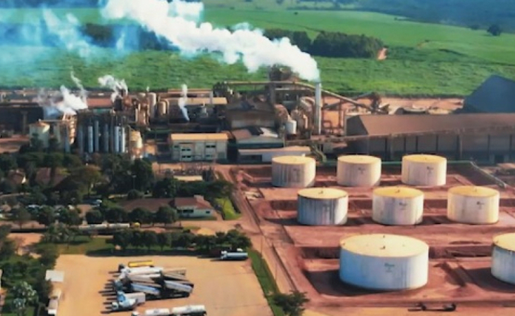 Cocal projeta eliminar diesel com avanço do biometano