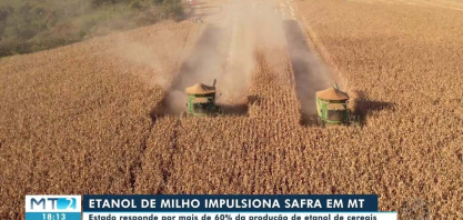 Etanol de milho impulsiona safra em MT