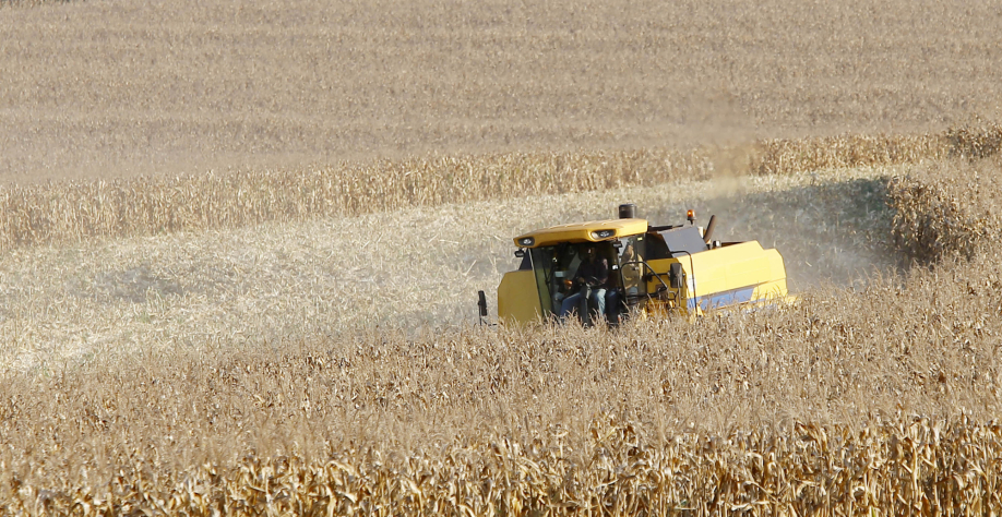 Paraná desponta como novo polo de etanol de milho com salto de 71% na produção. Foto: Albari Rosa/Arquivo AEN 