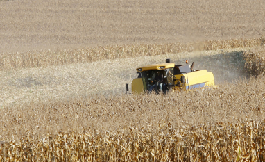 Paraná desponta como novo polo de etanol de milho com salto de 71% na produção 