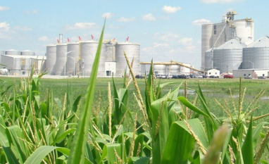 Etanol/EUA: produção cai 2% na semana, para 1,089 milhão de barris por dia