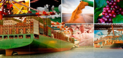 Governo define regras para exportações do agronegócio para a Europa