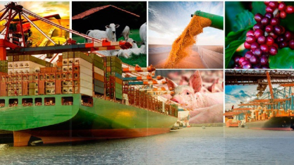 Governo define regras para exportações do agronegócio para a Europa