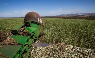 Preços do etanol e do açúcar caíram com negócios em ritmo lento