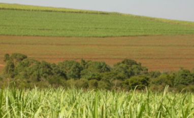CMN aprova prorrogação do uso do Prodes no crédito rural para janeiro 2027 e 2028