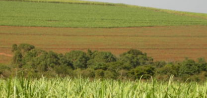 CMN aprova prorrogação do uso do Prodes no crédito rural para janeiro 2027 e 2028