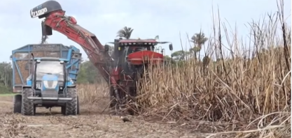 Usinas produziram 483,274 milhões de litros de etanol na safra 25/26 em Alagoas
