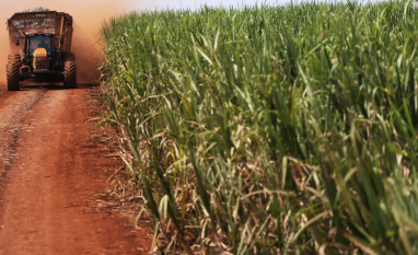 Setor sucroenergético enfrenta fase desafiadora
