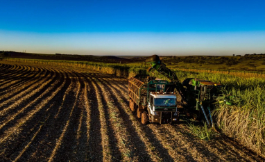 Safra mineira de cana-de-açúcar 2026/2027 acumula 13,9 milhões de toneladas
