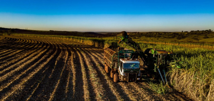Safra mineira de cana-de-açúcar 2026/2027 acumula 13,9 milhões de toneladas